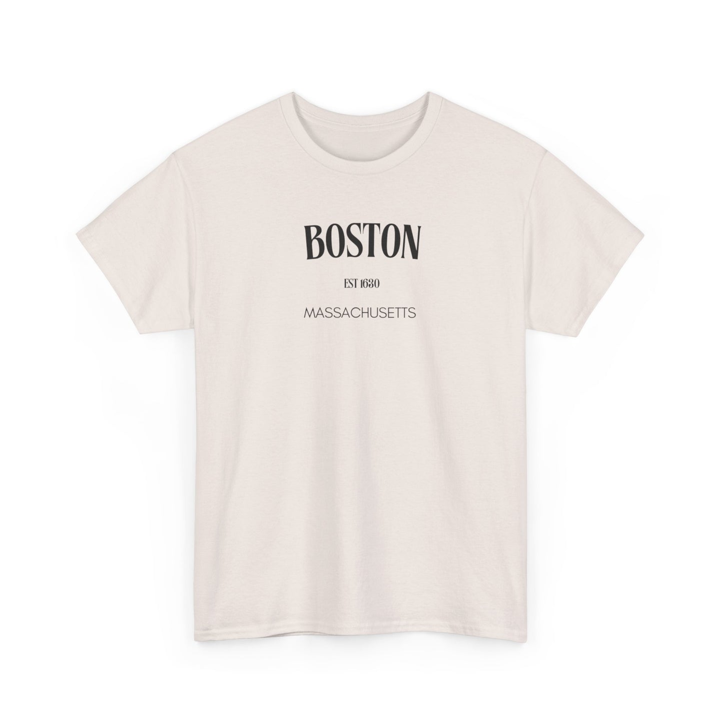 Boston Summer Day Tee