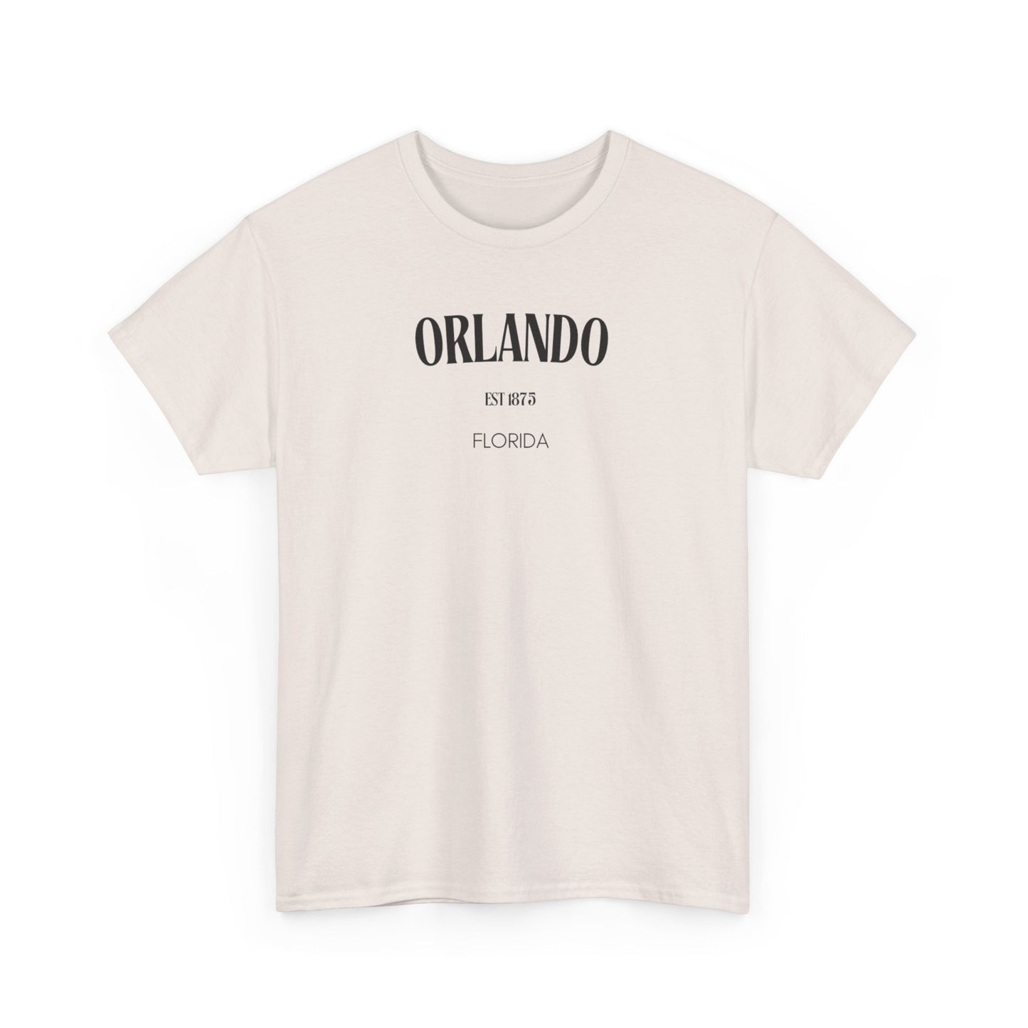 Orlando Summer Day Tee